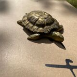 Brass turtle - opens and fits