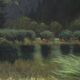 Painting Signed Landscape Oil Painting