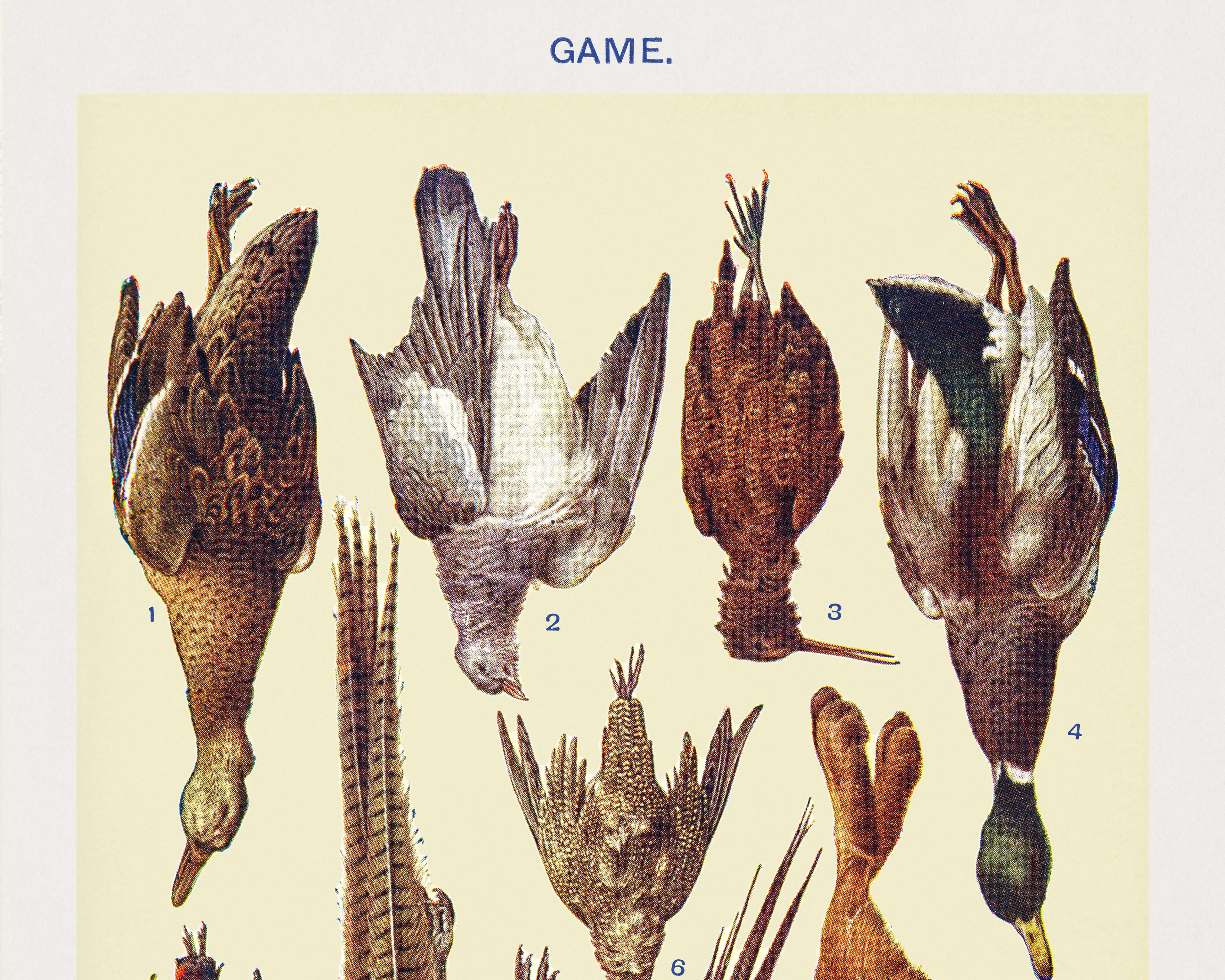 Poster about game (1), based on an old lithograph from 1923.