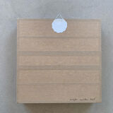 Butterfly naturalized iridescent under glass 16x16cm