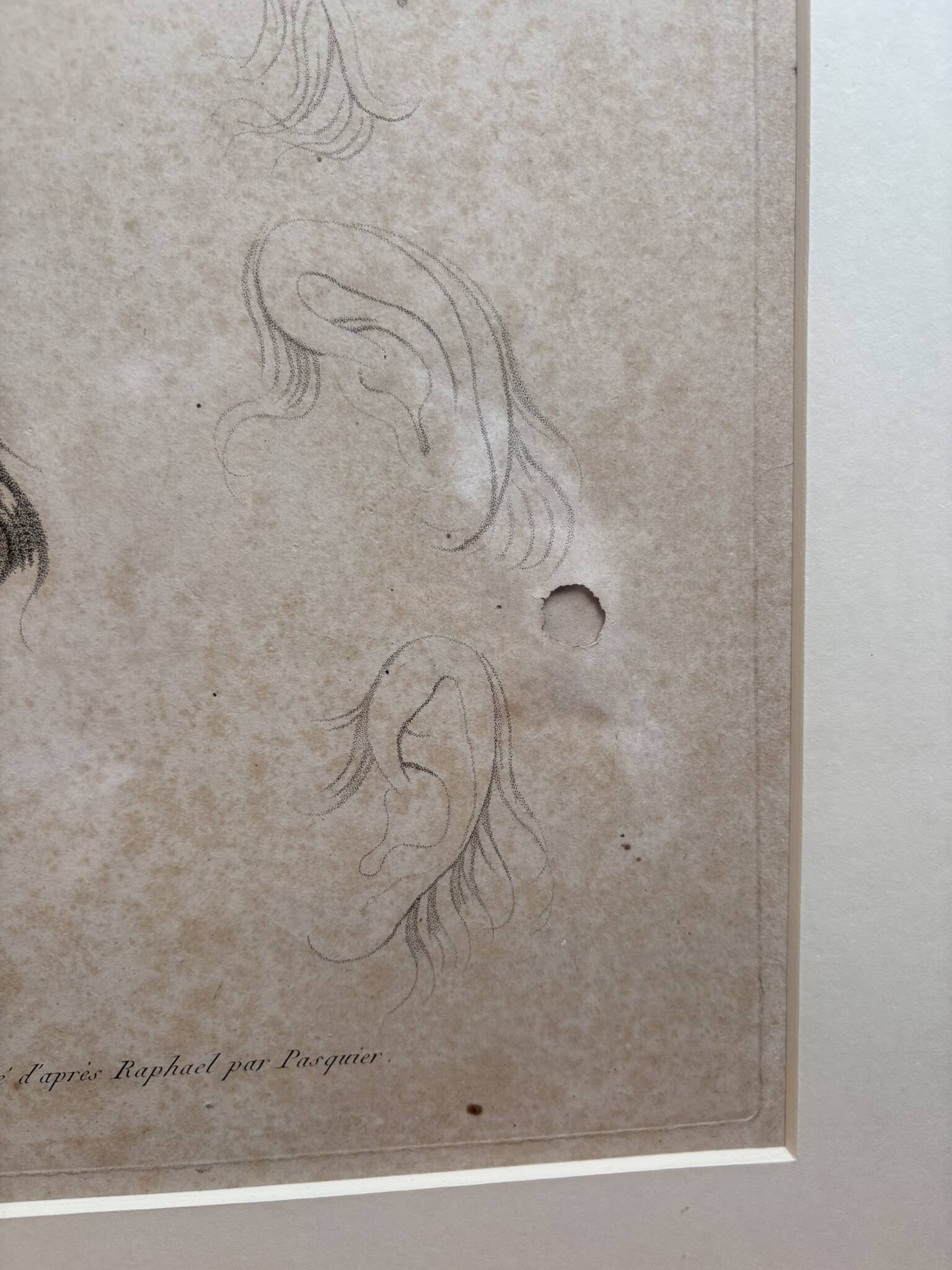 Old Print Engraving 19th Century Study of an Ear Sketch After Raphael Pasquier