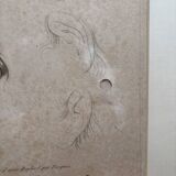 Old Print Engraving 19th Century Study of an Ear Sketch After Raphael Pasquier