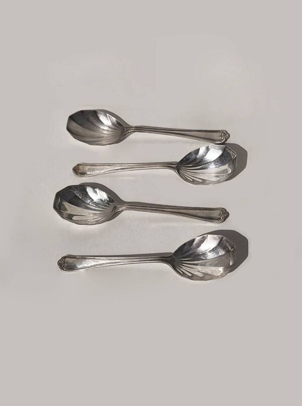 Lot de 4 cuillères coquillages