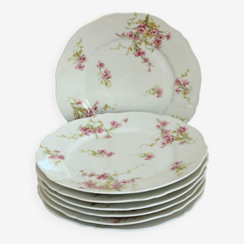 6 Haviland floral dinner plates, Limoges