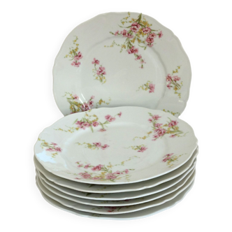 6 Haviland floral dinner plates, Limoges