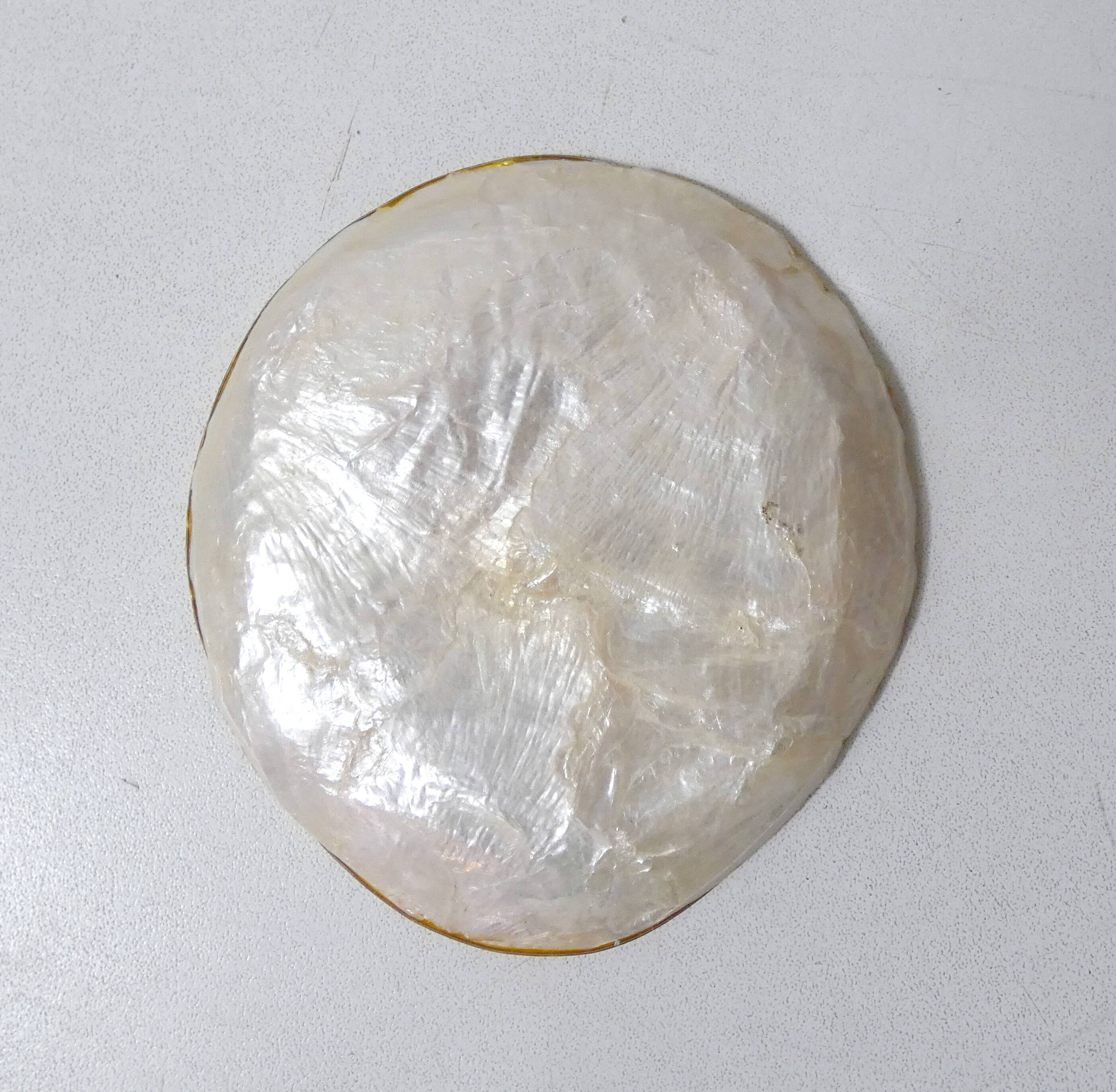 Vintage shell-shaped mother-of-pearl pocket emptier