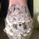 Vintage Vallauris vase
