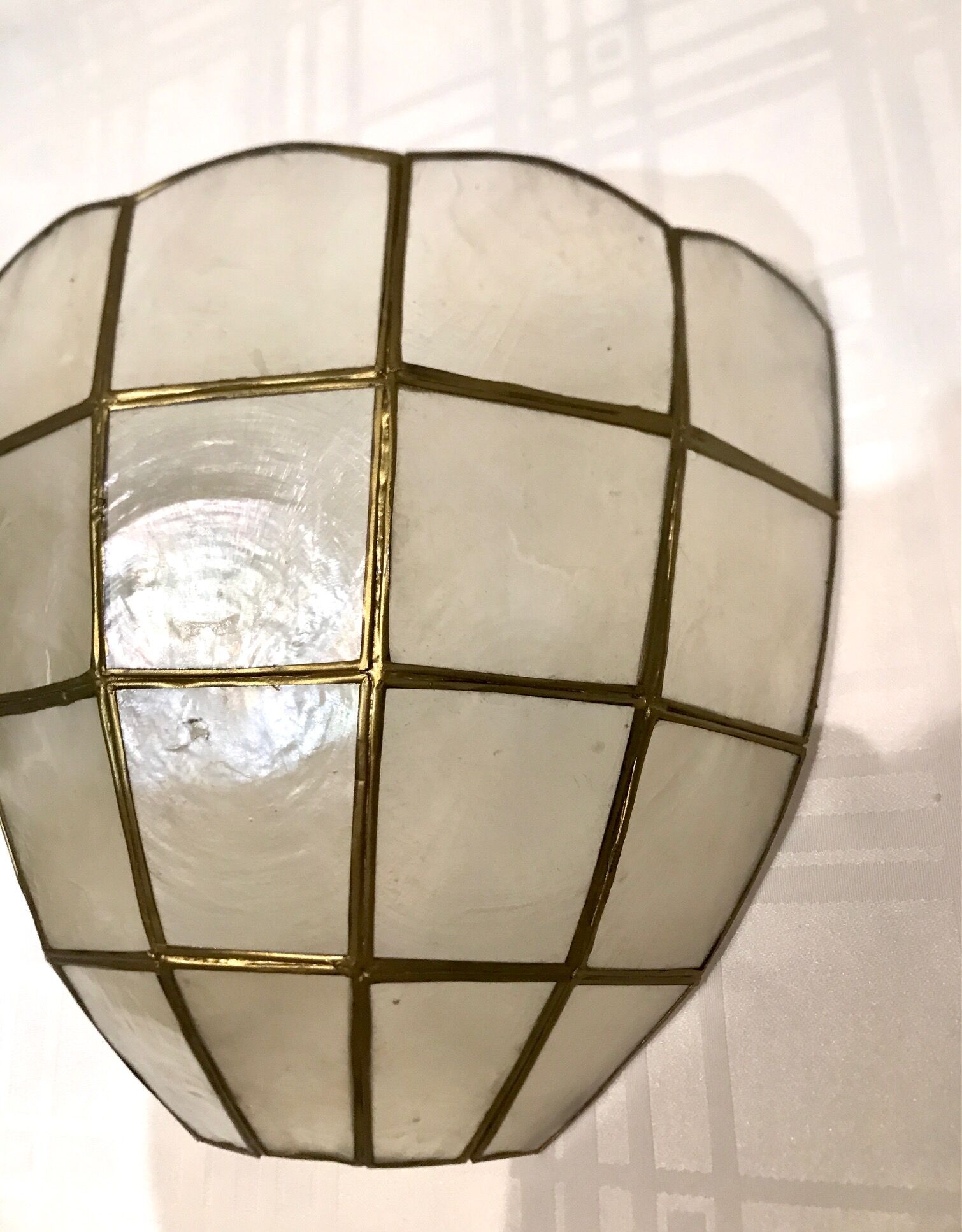 Pair of mother-of-pearl shell sconces