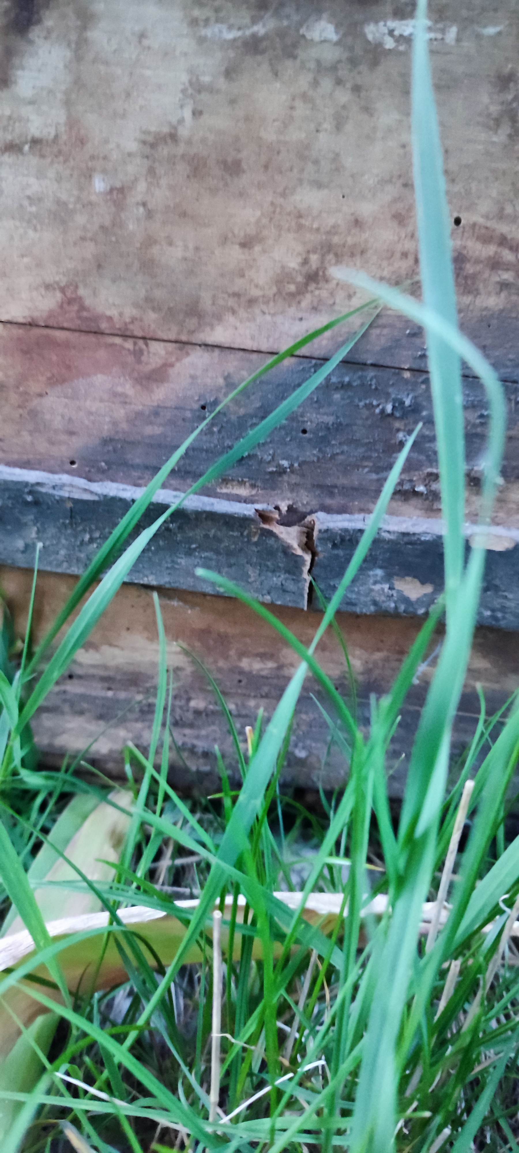 Former travel trunk Vacheron Fils Troyes