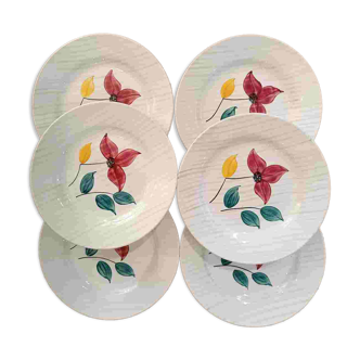 Larmor Digoin plates