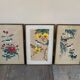 Trio of Japanese ornithological plates