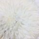 Juju hat blanc 50 cm