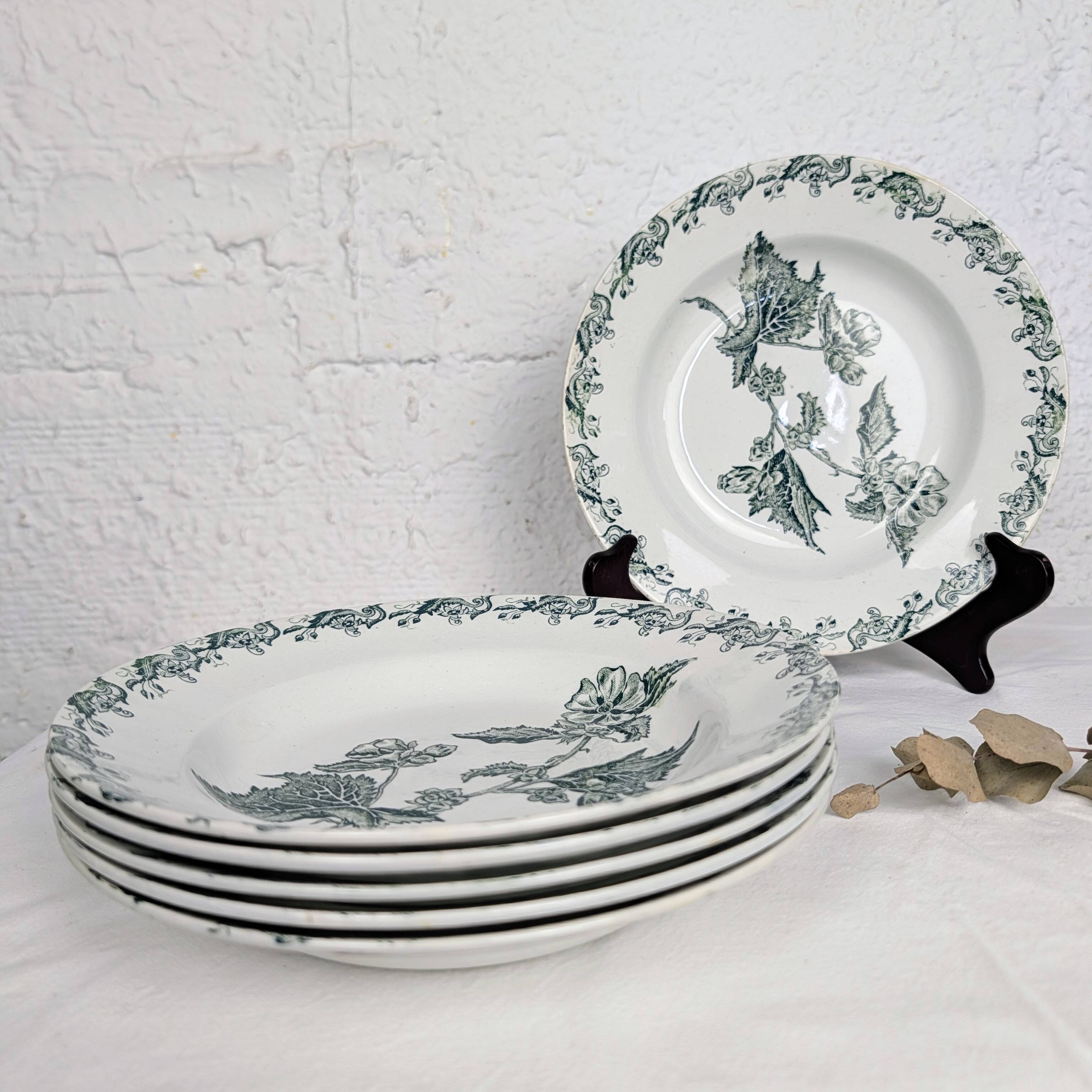 6 assiettes creuses Richelieu - Saint-Amand