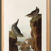 Poster about the Dipper, based on an old engraving from 1827.