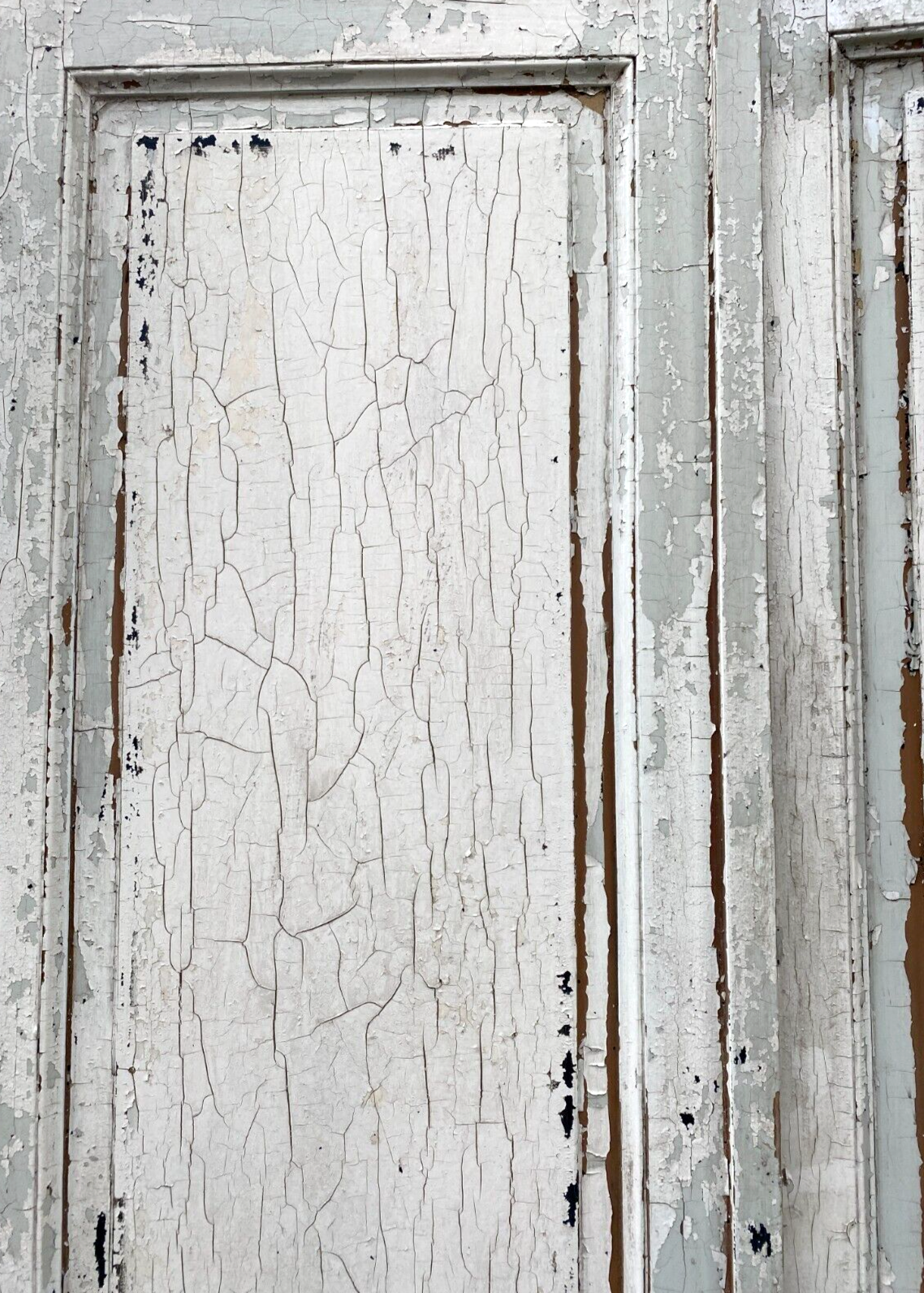 Double solid fir closet doors. XX century .