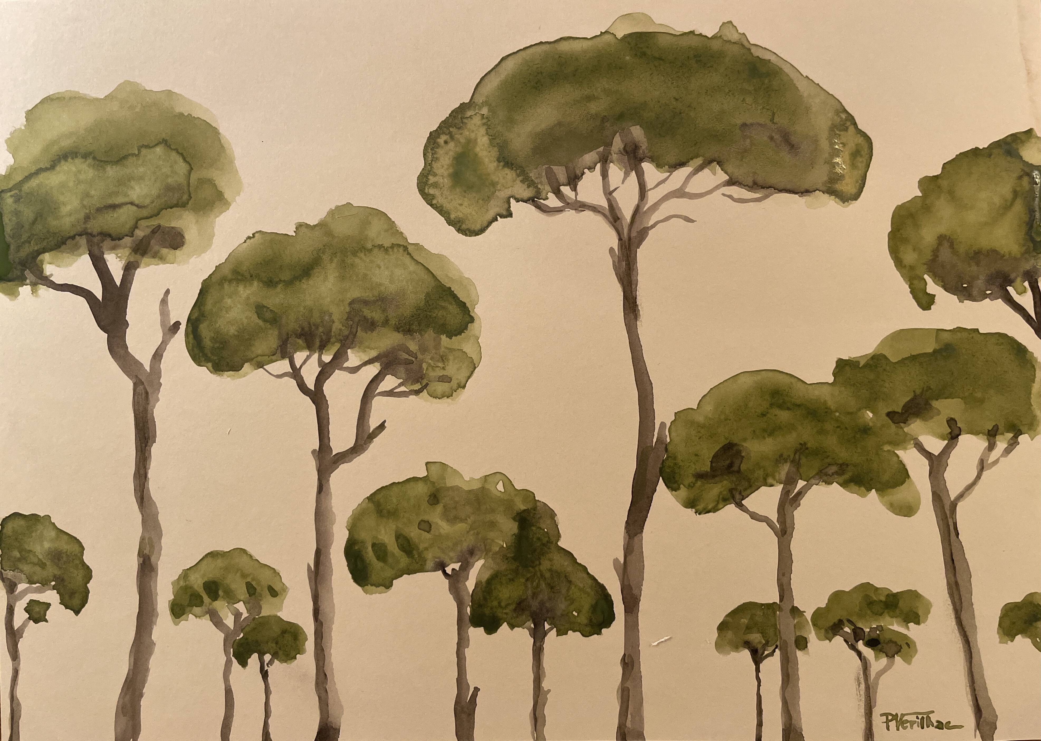 Tableau signé aquarelle « pinède du Lubéron »