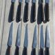 Set of 12 fruit knives with ebony handles coutellerie supérieure