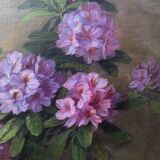 Still life oil on canvas 1900