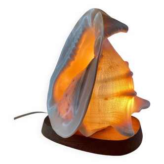 Lampe coquillage