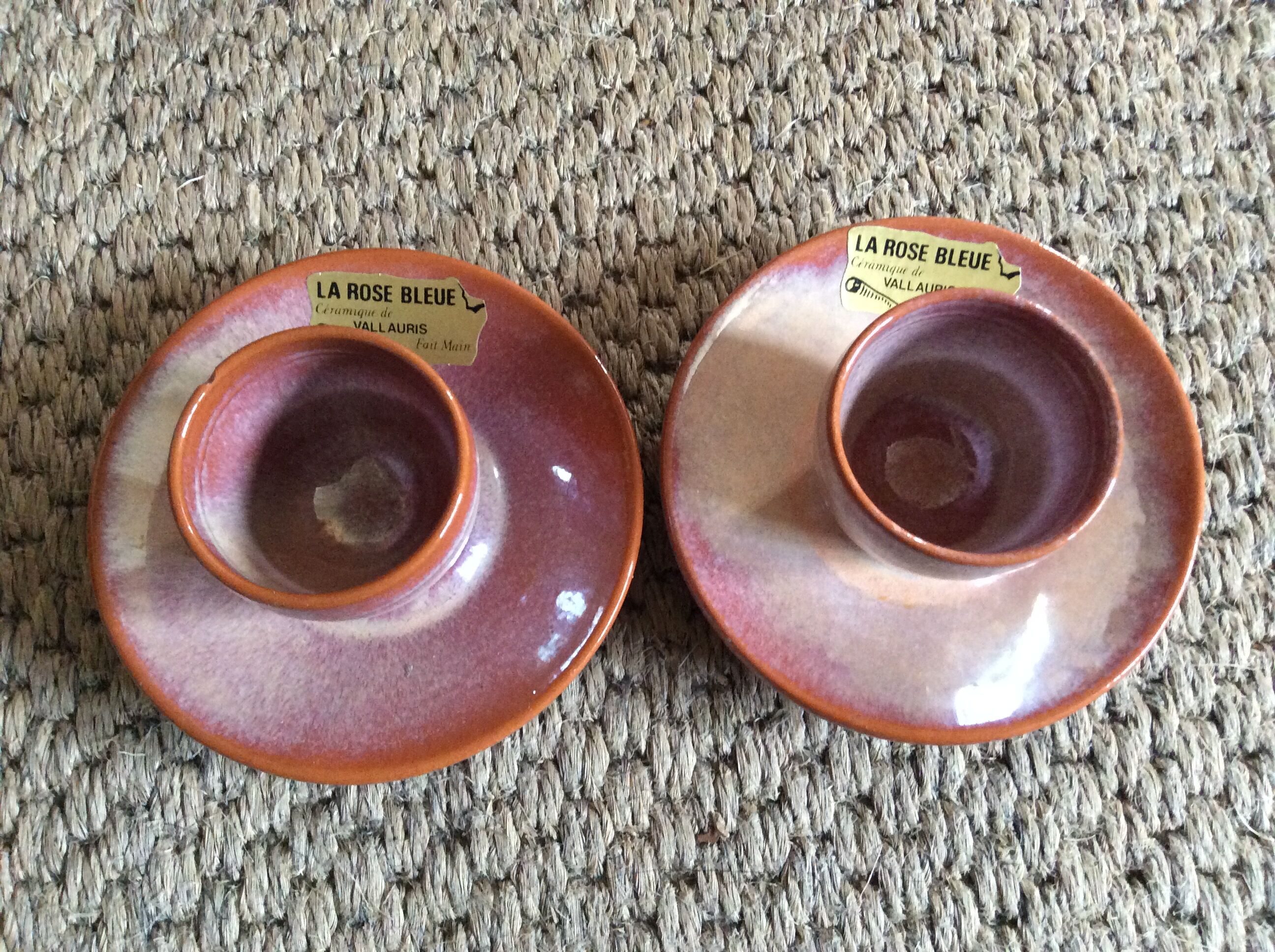 Series of 2 cockroats