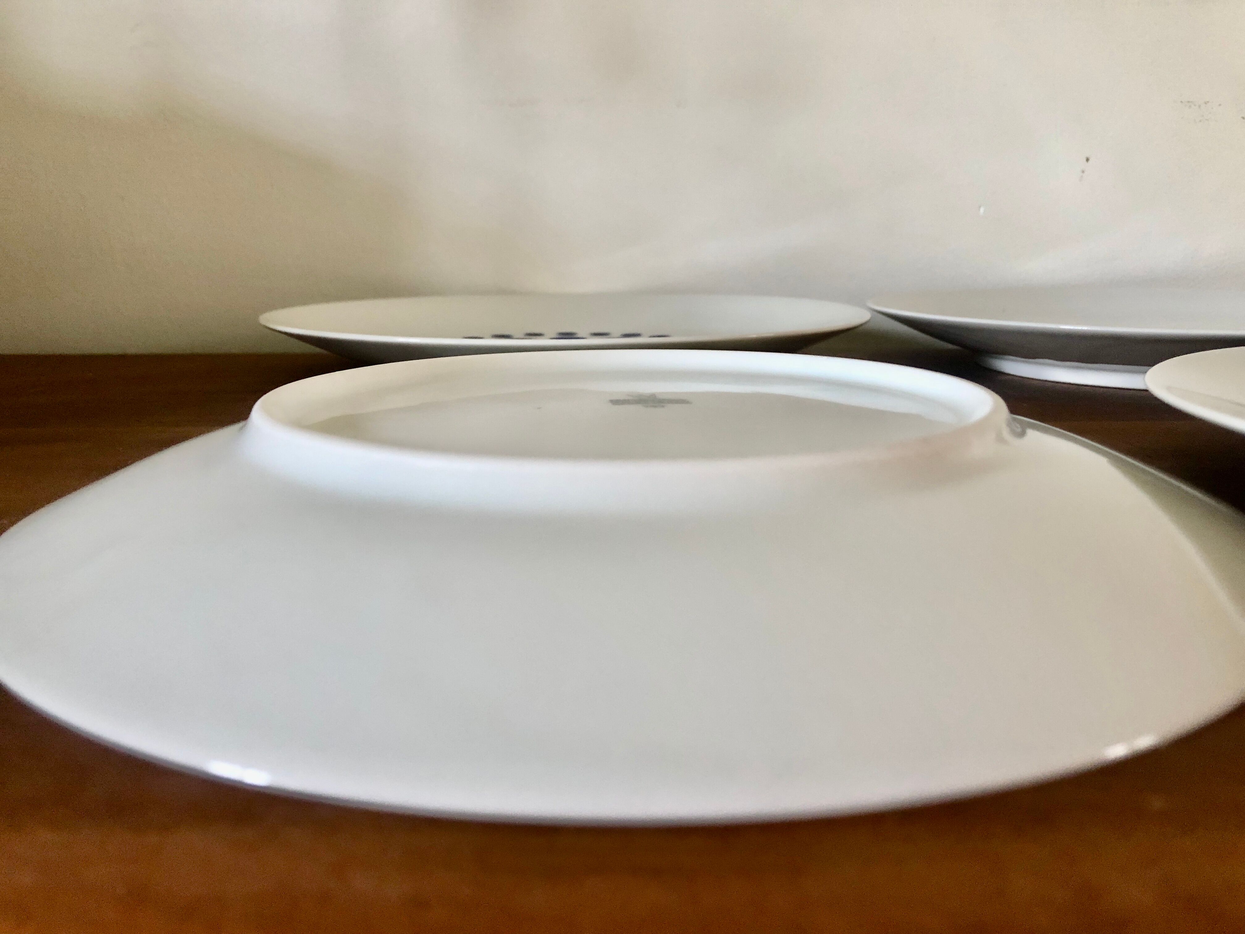 Set of 9 blue German plates bareuther waldsassen