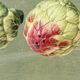 Pair of salt and pepper shakers in earthenware, artichokes