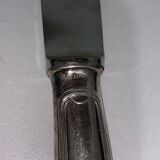Coffret de 12 couteaux de table inox