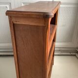 Vintage low library in shallow wood