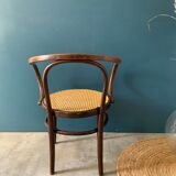 Mundus chair in curved wood