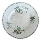 Old dish