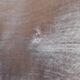 Cloth, rustic cotton canvas, light ivory.