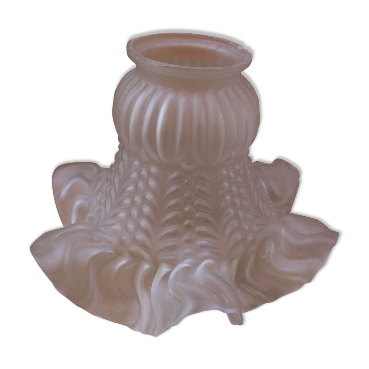 Glass tulip for lamp