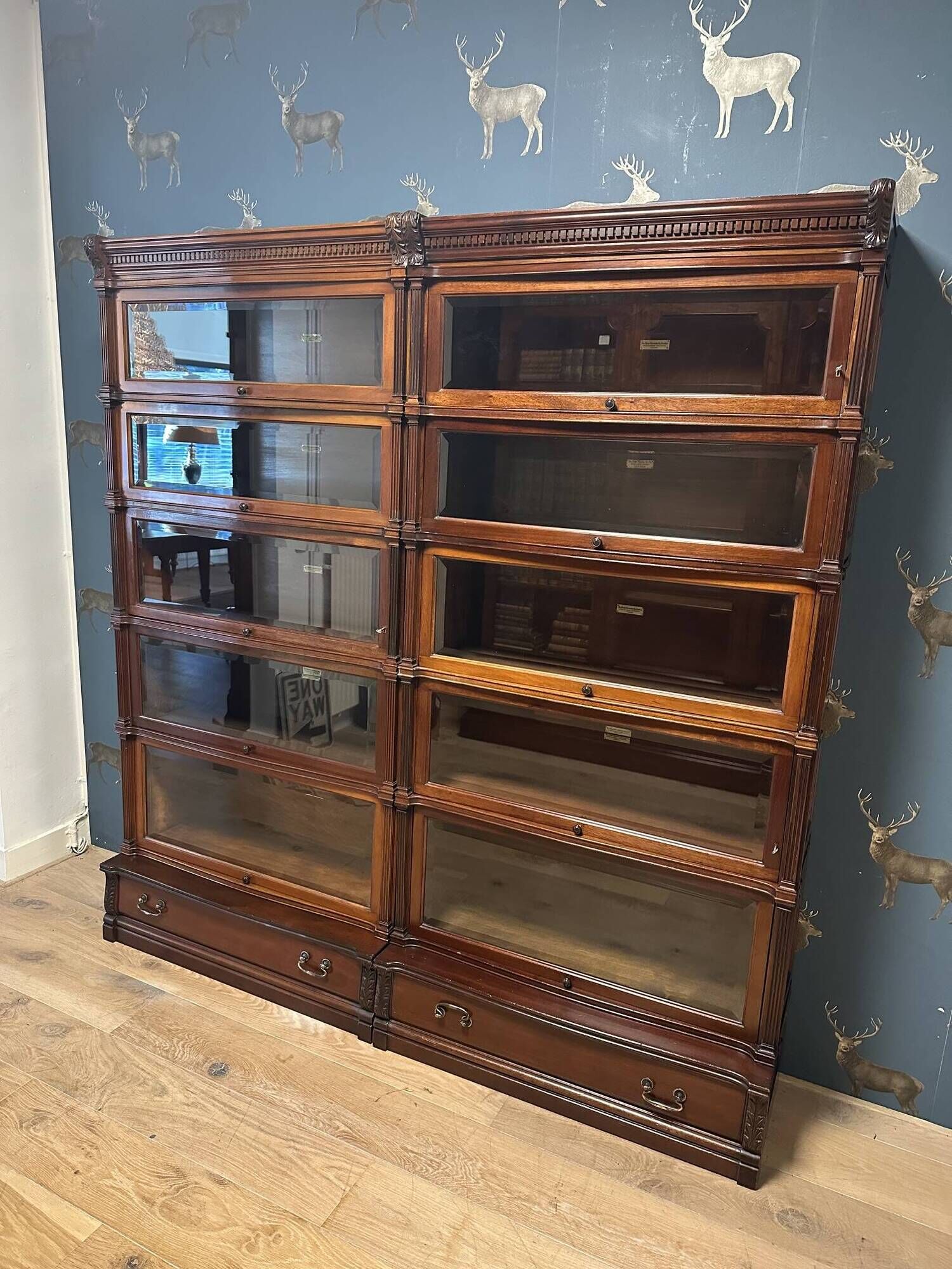 Special Globe Wernicke Bookcase