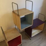 Nonah Salamander Children's Library