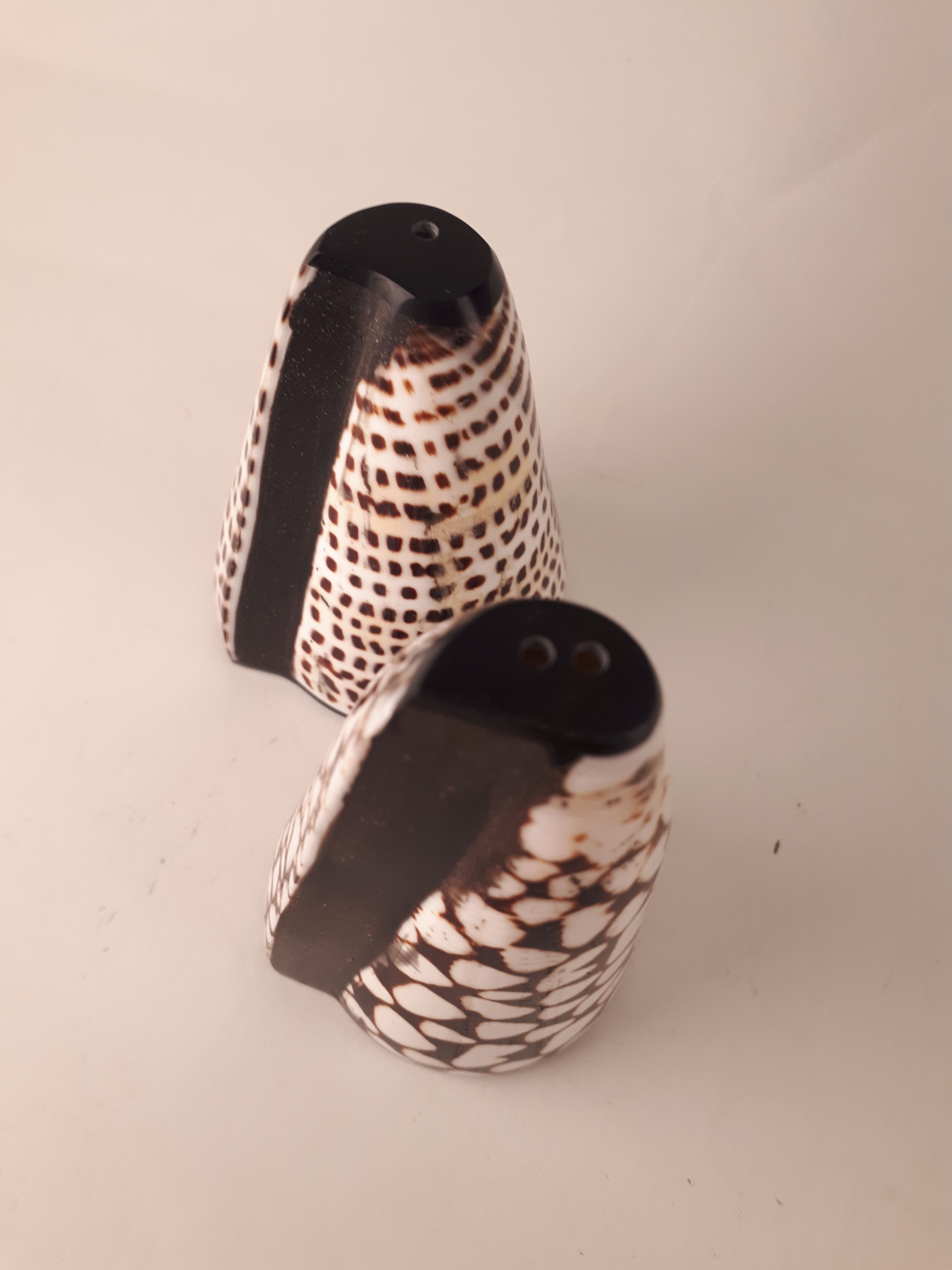 salt salt shaker sea shell real vintage nature curiosity