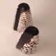 salt salt shaker sea shell real vintage nature curiosity