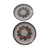 Schramberger Plates