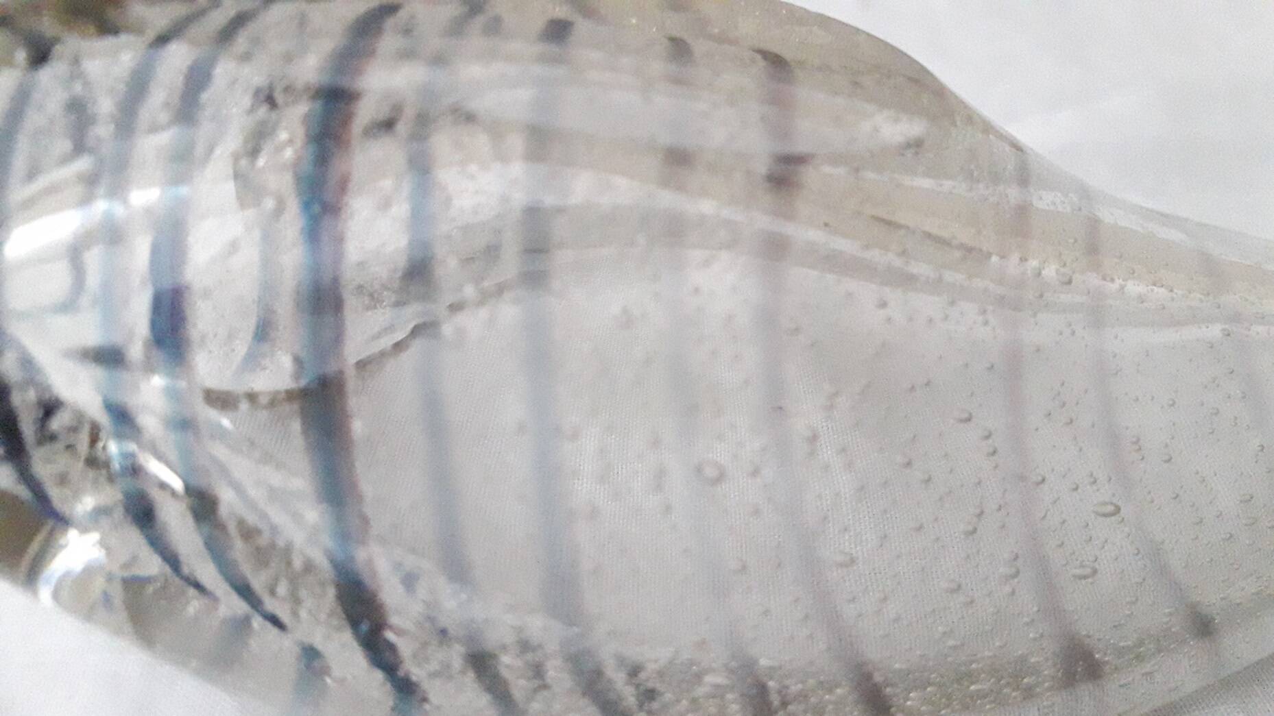 Vide poche coquillage