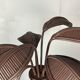 Pencil reed rattan bamboo palm tree coconut table lamp Maro Lopez style 70s