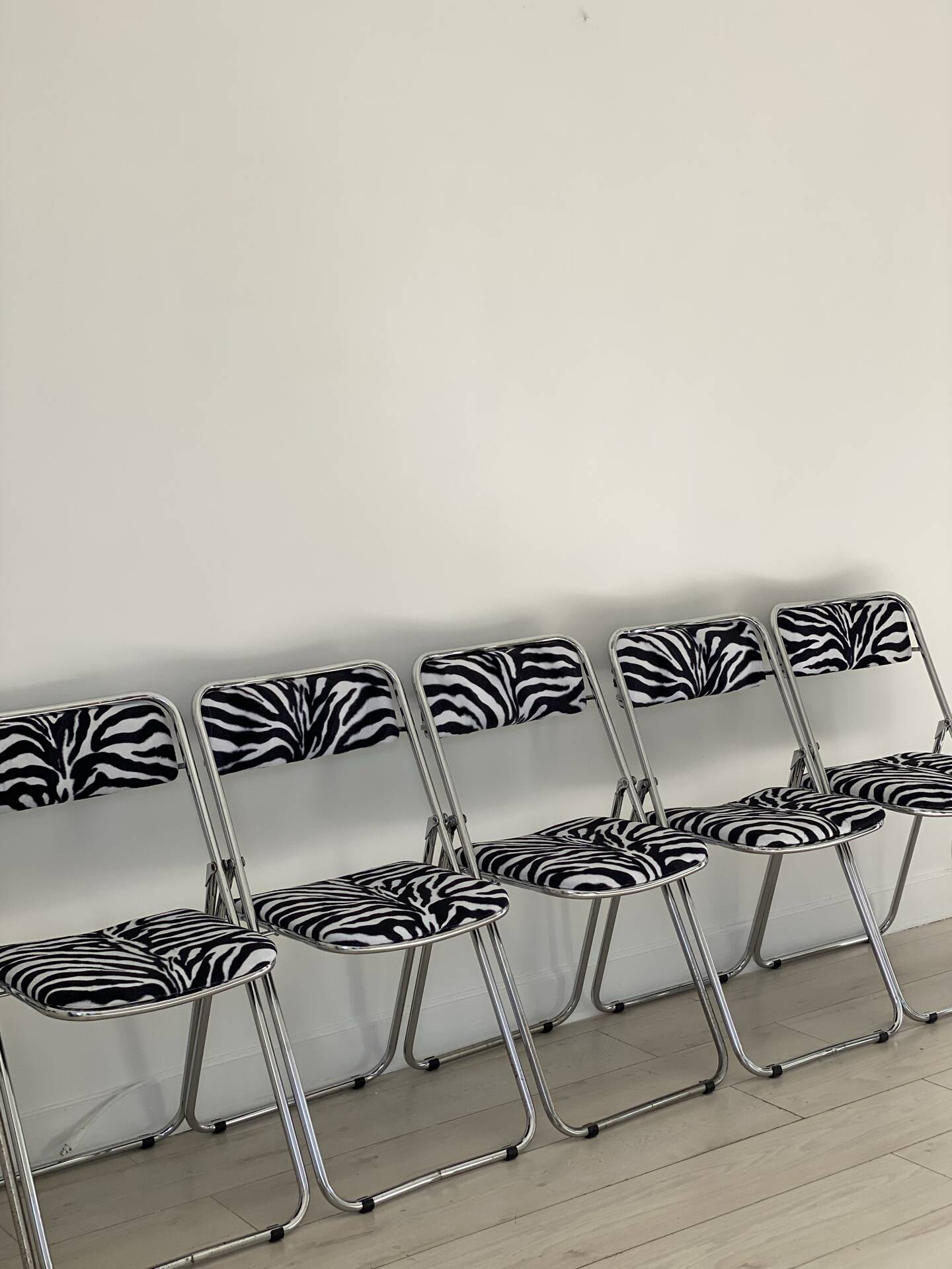 6 zebra folding chairs