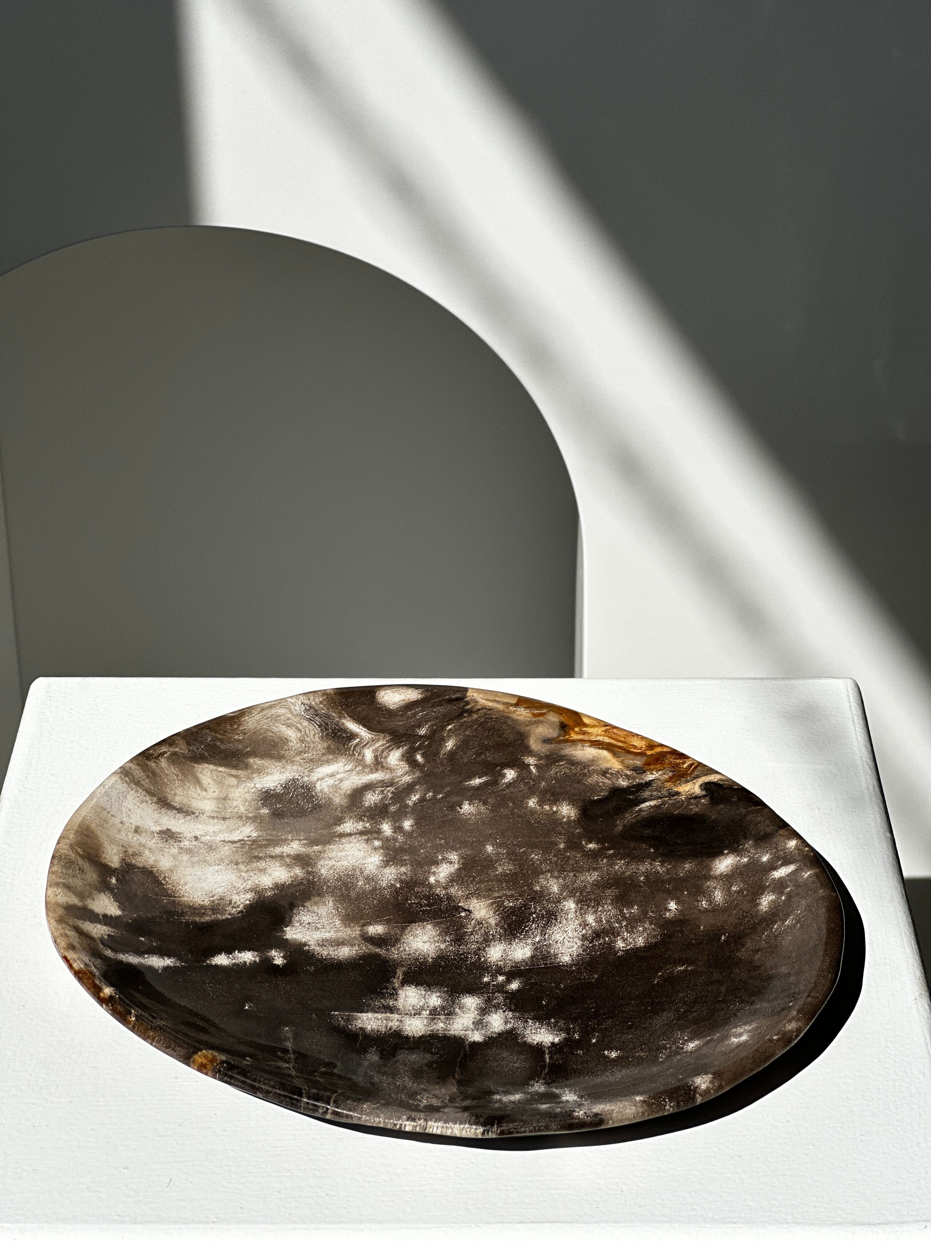 Dish in petrified wood