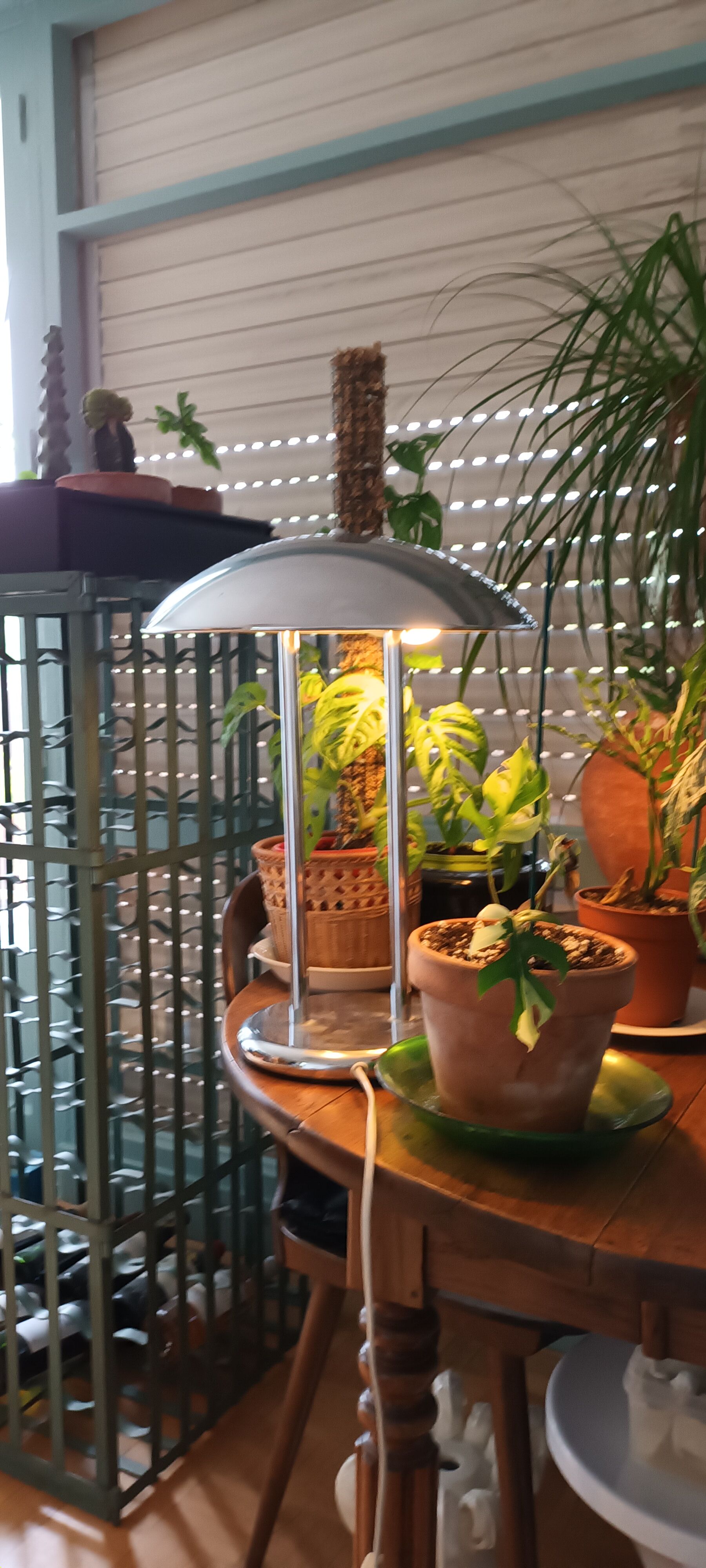 Vintage liner mushroom lamp