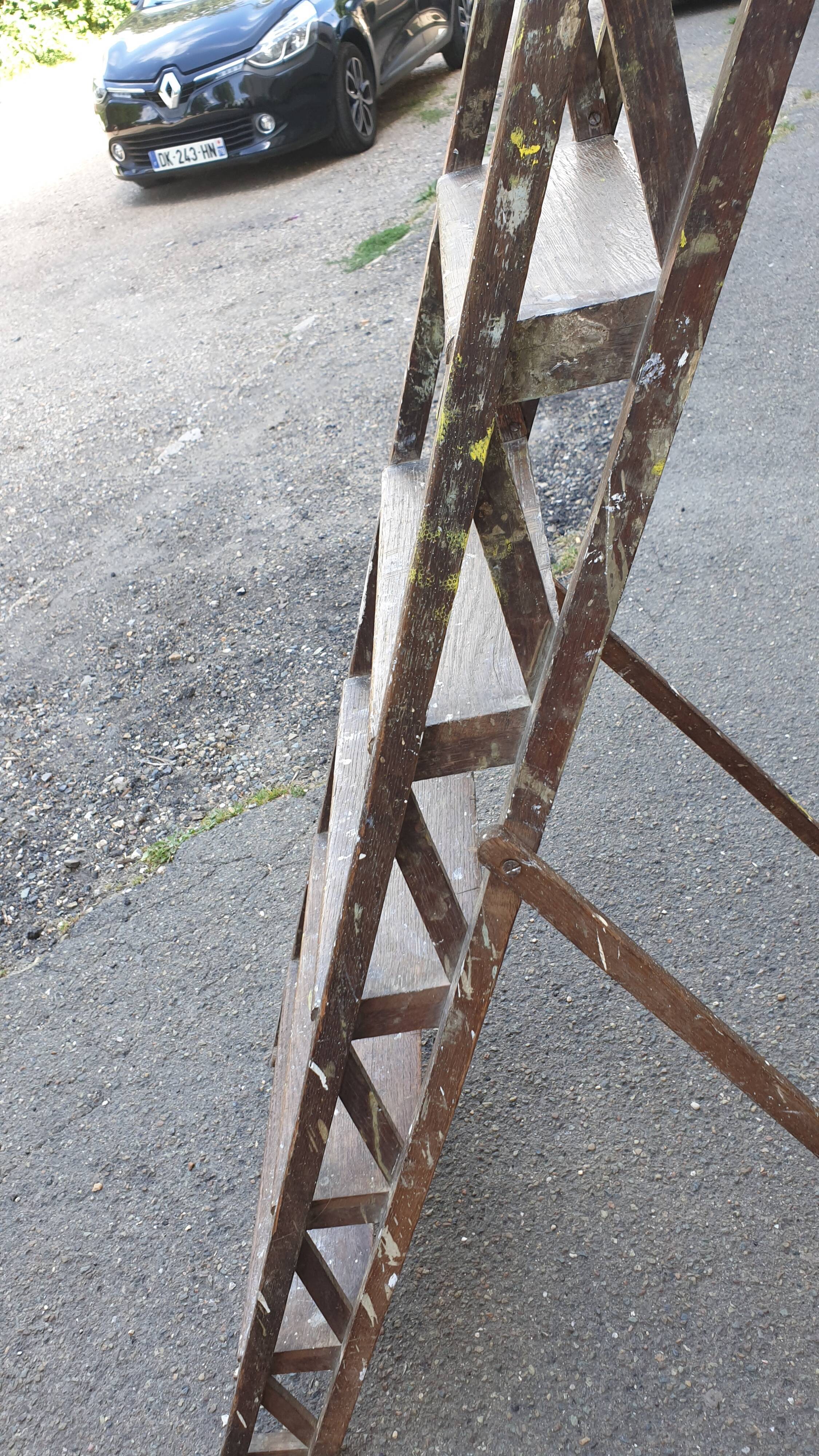 Painter's stepladder in solid beech