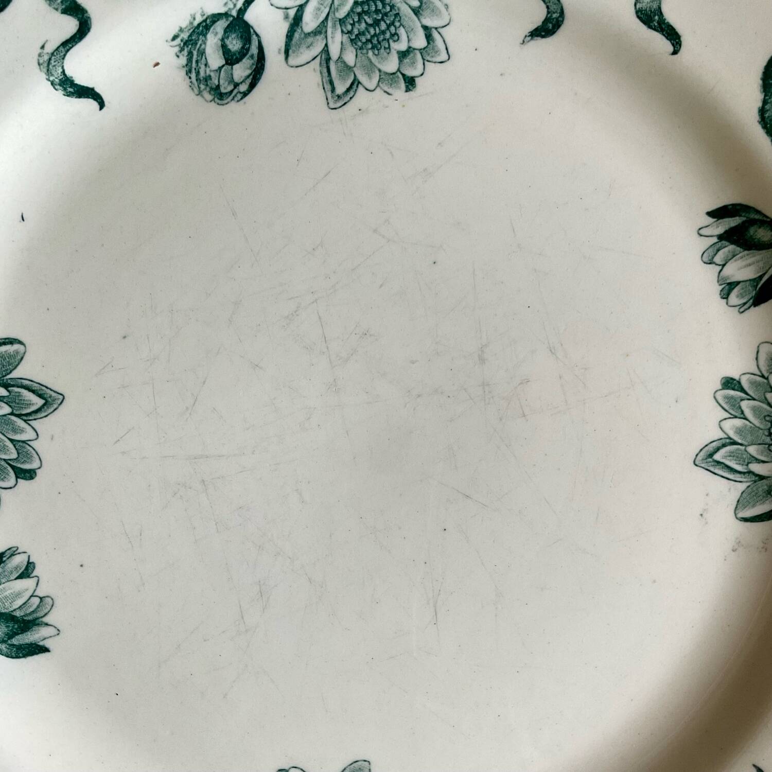 4 Nénuphar plates R & A Salins