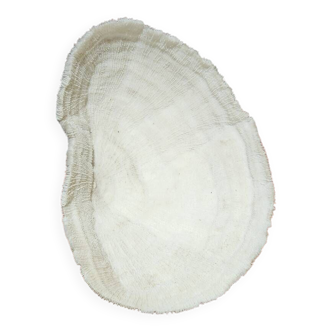 Large white coral