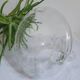 Large wine decanter