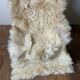Vintage goatskin