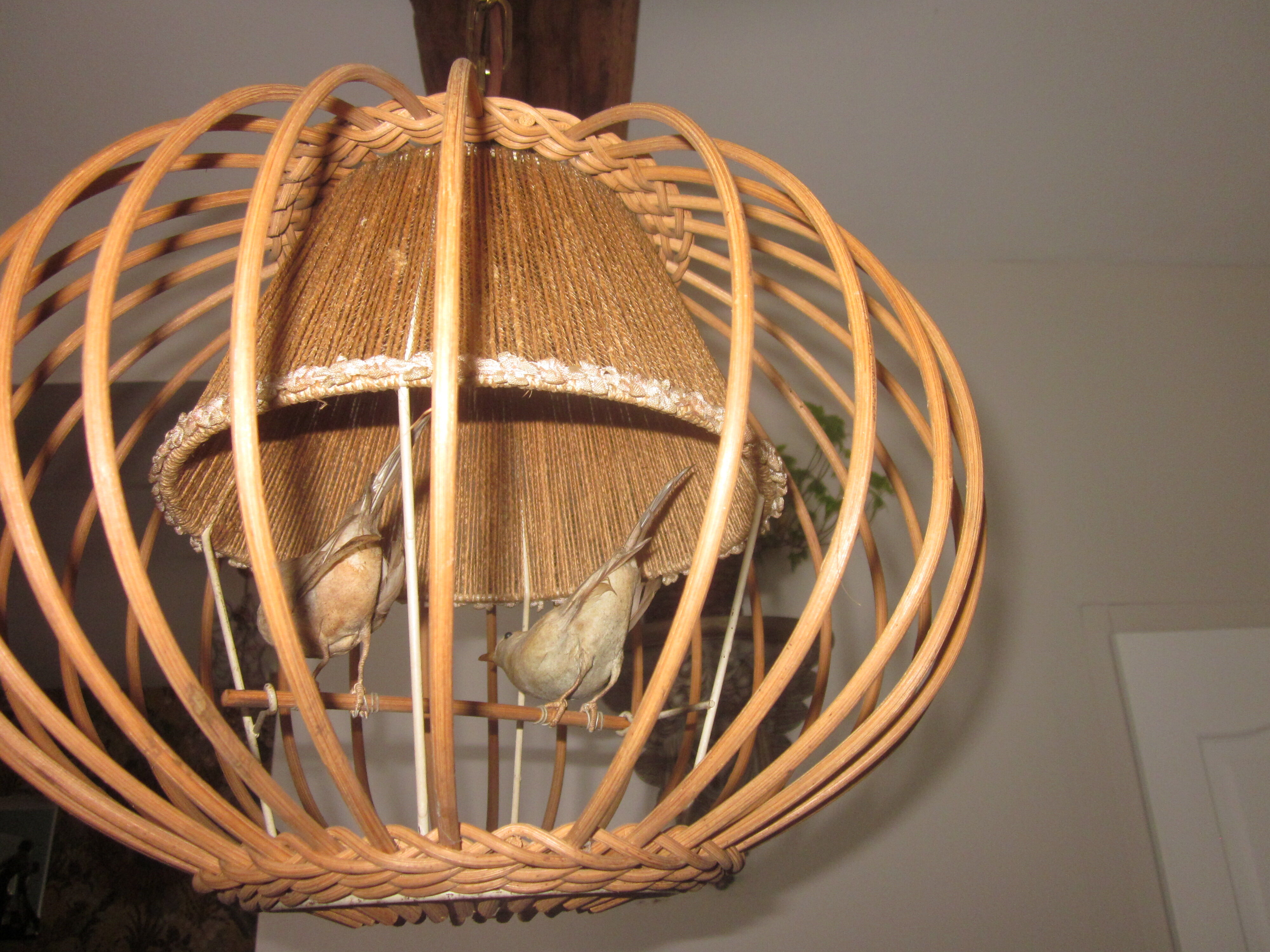 Suspension cage avec oiseaux
