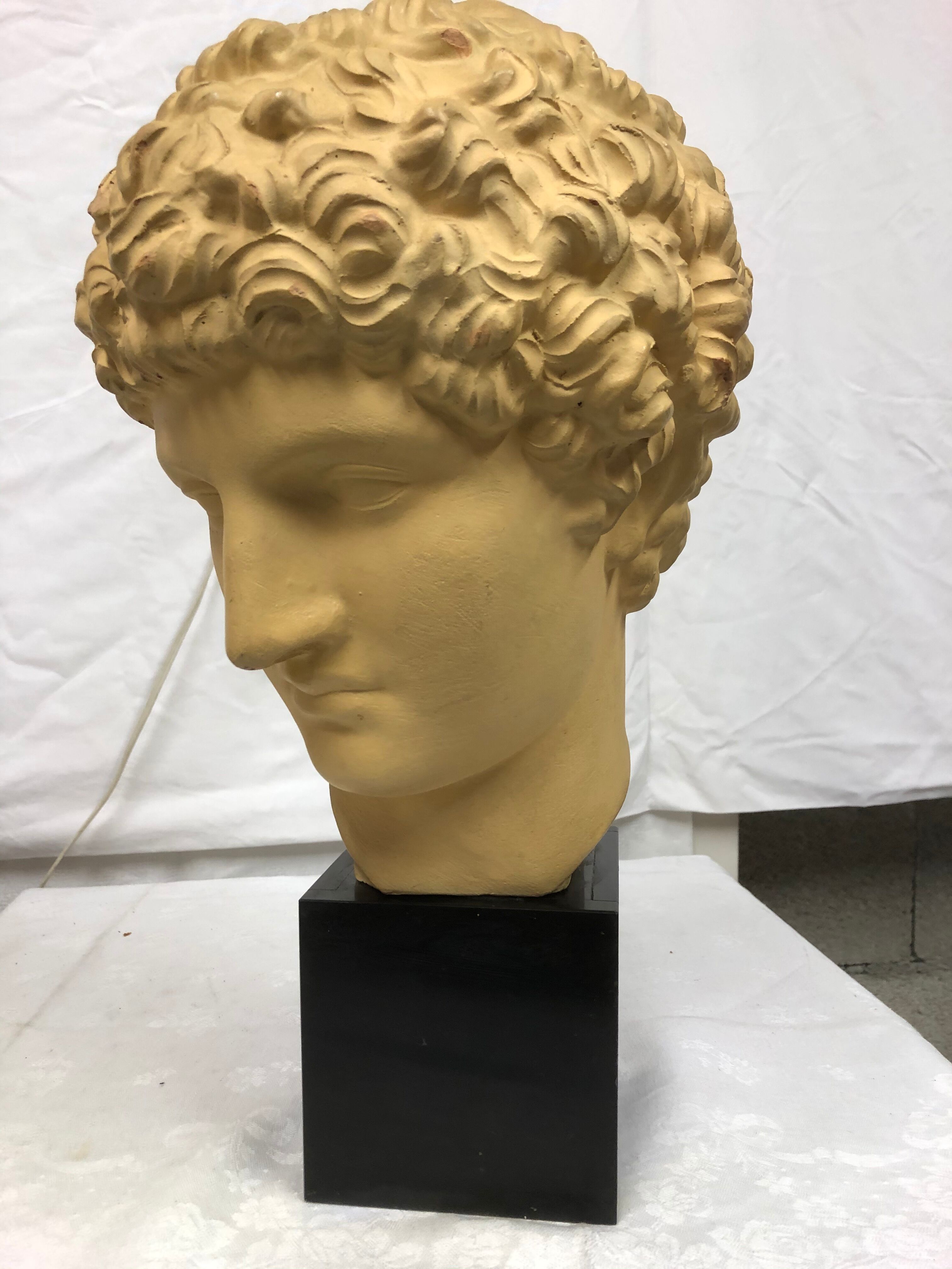 Tête de romain antique des années 70