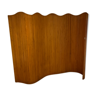 Vintage screen Baumann year 50